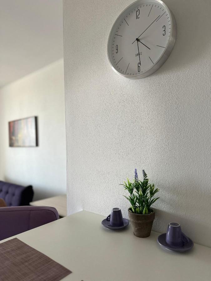 Central Apartment Timişoara Exteriör bild